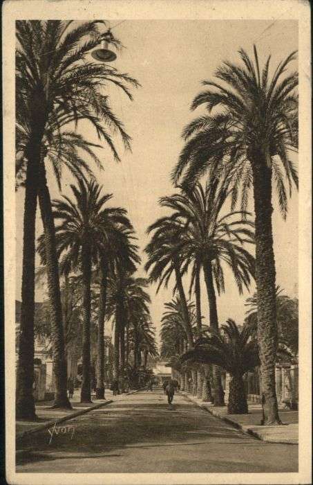 Hyeres Avenue Belgique