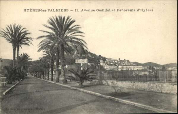 Hyeres Palmiers Avenue Godillot