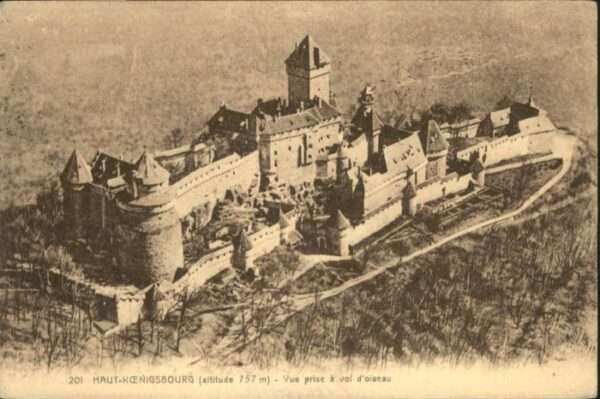 Haut-Koenigsbourg Hohkoenigsburg Haut-Koenigsbourg Oiseau