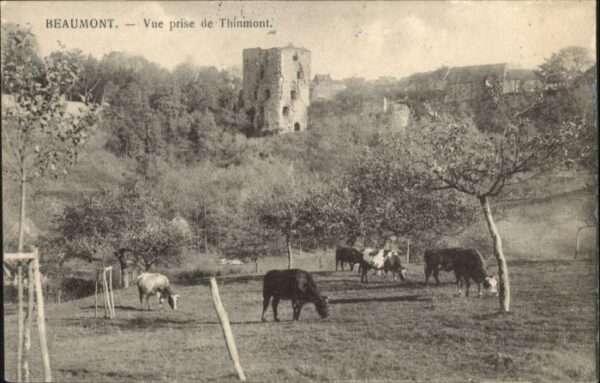 Beaumont Hainaut Beaumont Thinmont