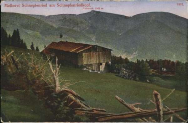 Mittlach Schnepfenriedkopf Melkerei