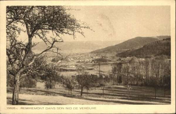 Remiremont Vosges Remiremont Verdure
