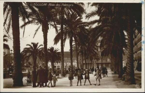 Toulon Var Toulon Allee Palmiers