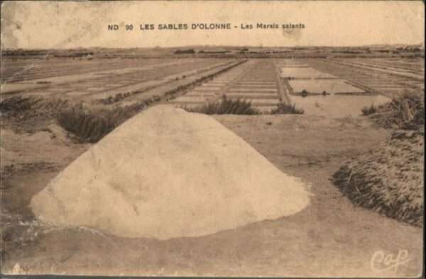 Les Sables-d Olonne Marais Salants