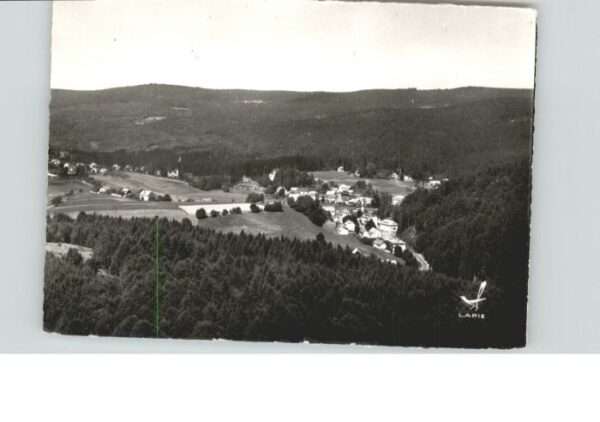 Le Hohwald Foret
