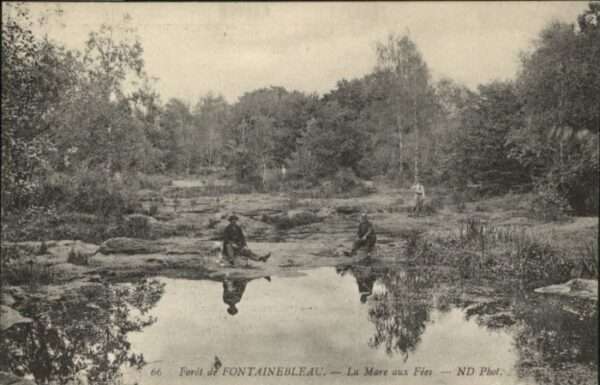 Fontainebleau Foret La Mare aux Fees