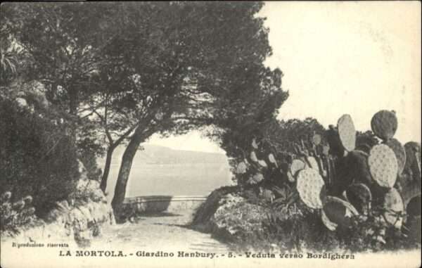 Nice Alpes Maritimes Nice [Etablissement de Photographie Gil