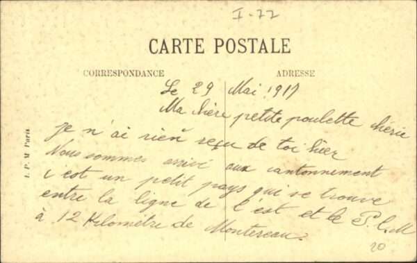 Montigny-Lencoup Cedre du Liban – Bild 2