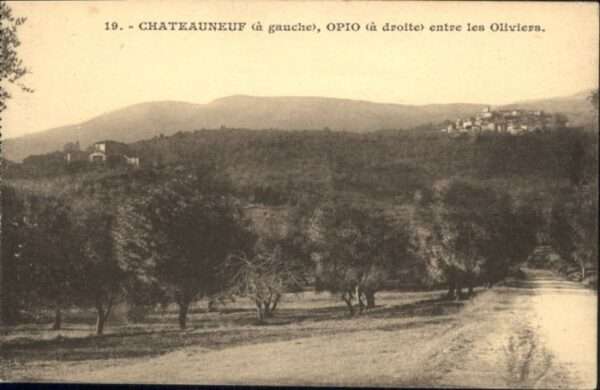 Chateauneuf Opio Oliviers
