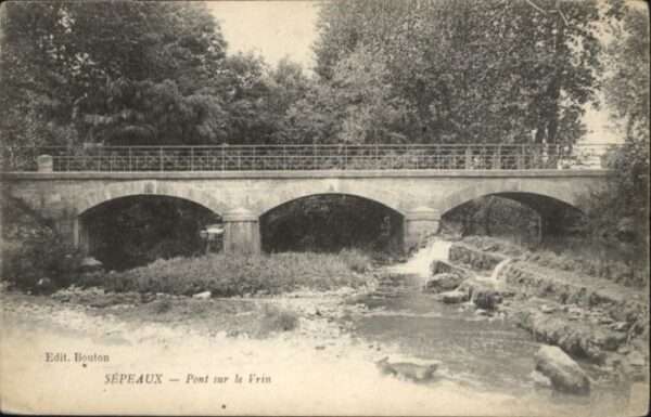 Sepeaux Pont sur le Vrin