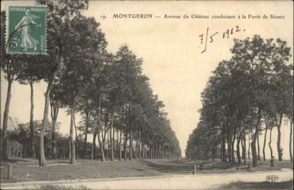 Montgeron Avenue du Chateau Foret de Senart