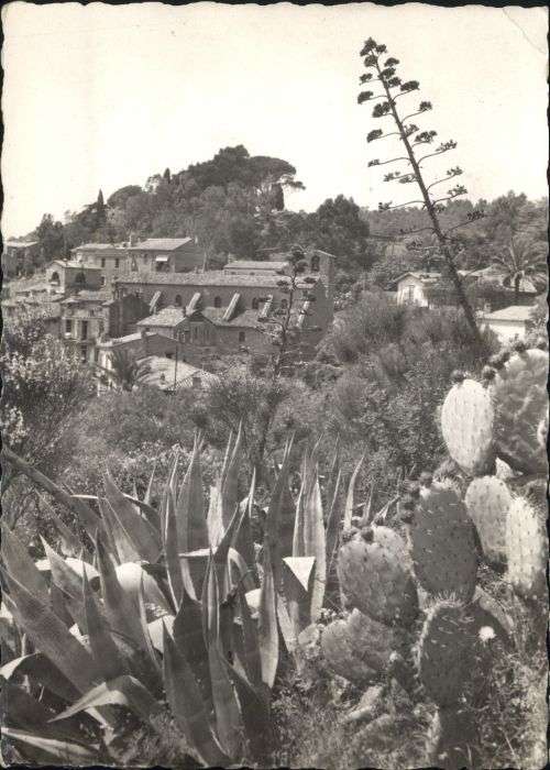 Bormes-les-Mimosas Cote d_Azur Varoise