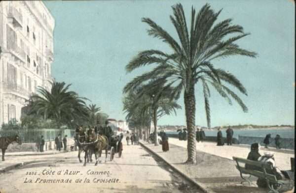 Cannes Alpes-Maritimes Cannes Promenade Croisette