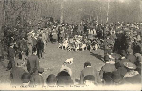 Chantilly Chasse Courre Curee Jagd