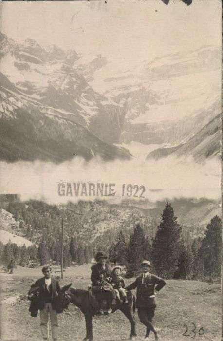 Gavarnie Esel