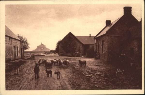 Mont-Saint-Michel Ferme Normandes Abords Mont