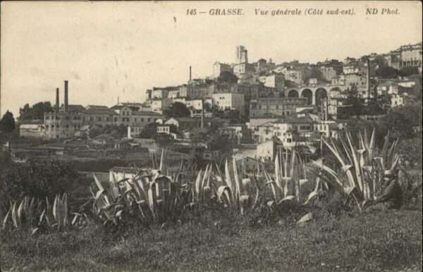 Grasse
