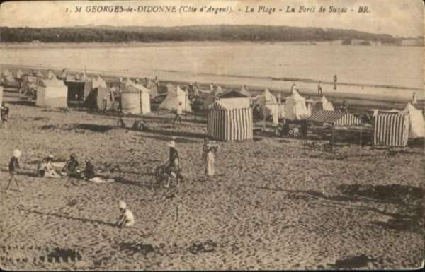 Saint-Georges-de-Didonne Plage Foret Suzac