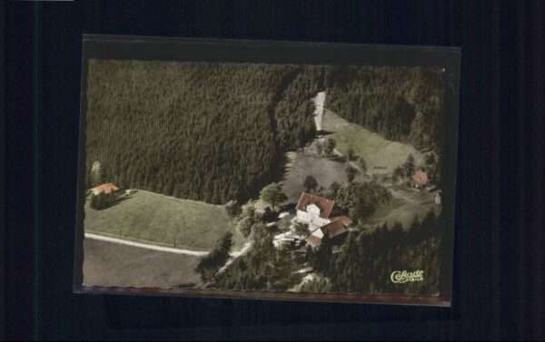 Auerhahn Fliegeraufnahme Berggasthaus zum Auerha