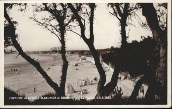 Royan 17 Royan Saint Georges