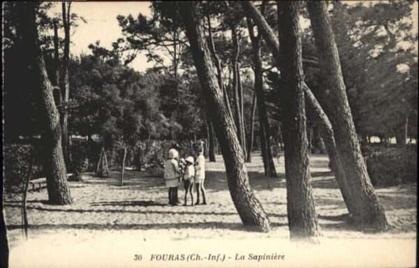 Fouras Charente-Maritime Sapiniere
