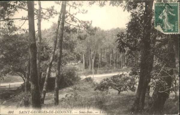 Saint-Georges-de-Didonne S