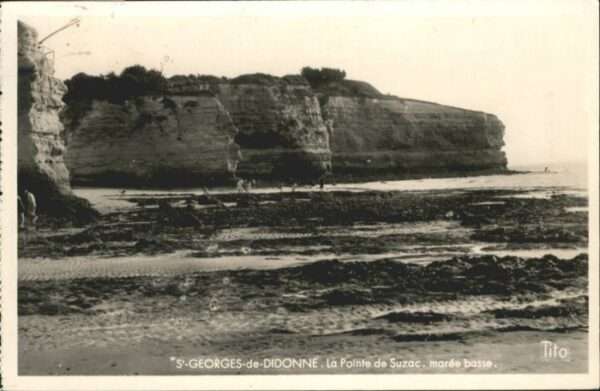 Saint-Georges-de-Didonne la Pointe de Suzac