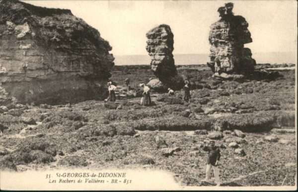 Saint-Georges-de-Didonne les Rochers de Vallieres