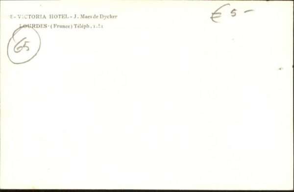 Lourdes Hautes Pyrenees Lourdes Victoria Hotel – Bild 2
