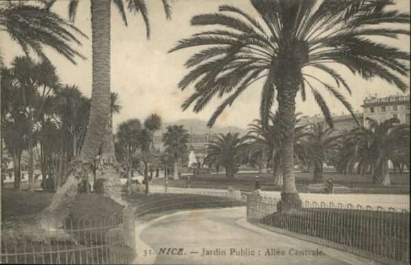 Nice Alpes Maritimes Nice Jardin Public Allee Centrale