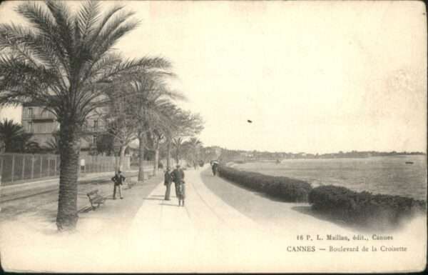 Cannes Alpes-Maritimes Cannes Boulevard de la Croisette