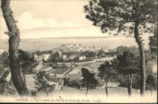 Cannes Alpes-Maritimes Cannes