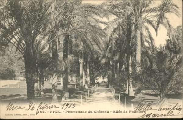 Nice Alpes Maritimes Nice Promenade du Chateau Allee de Palm