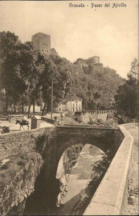 Granada Andalucia Granada Paseo Ajivillo