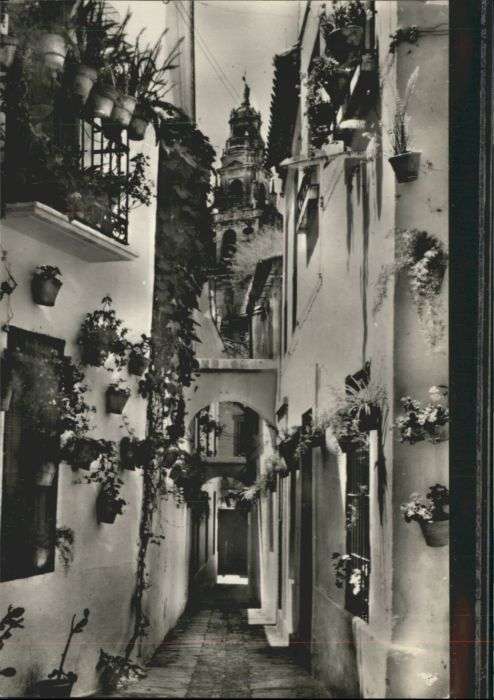 Cordoba Andalucia Cordoba Calleja Flores