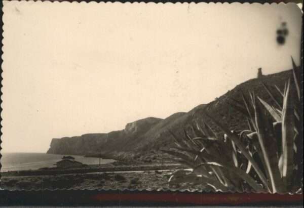 Denta Torre Cherro