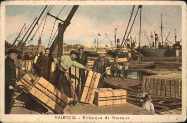 Valencia Valenciana Valencia Embarque Naranjas
