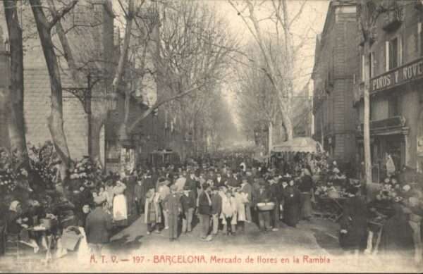Barcelona Cataluna Barcelona Mercado Flores Rambla