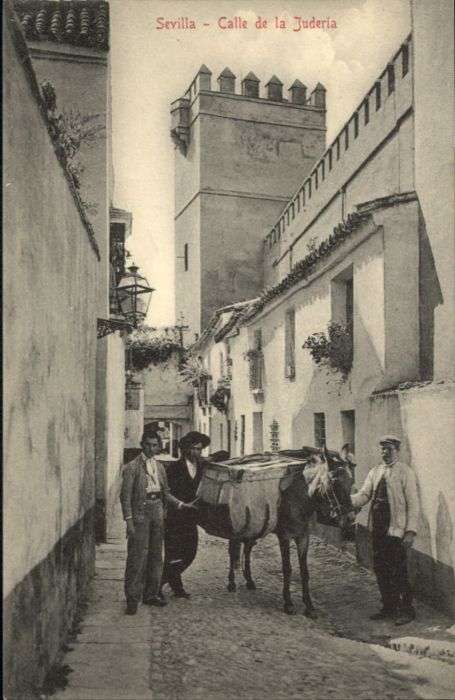 Sevilla Andalucia Sevilla Calle Juderia