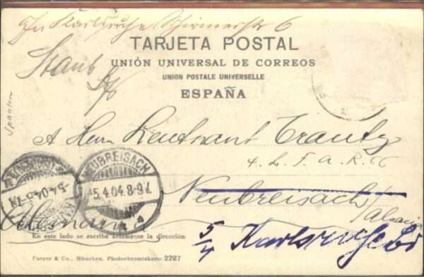 Elche Palmera Capellan Castano – Bild 2