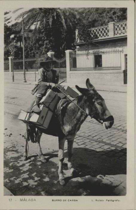Malaga Andalucia Malaga Burro Carga Esel
