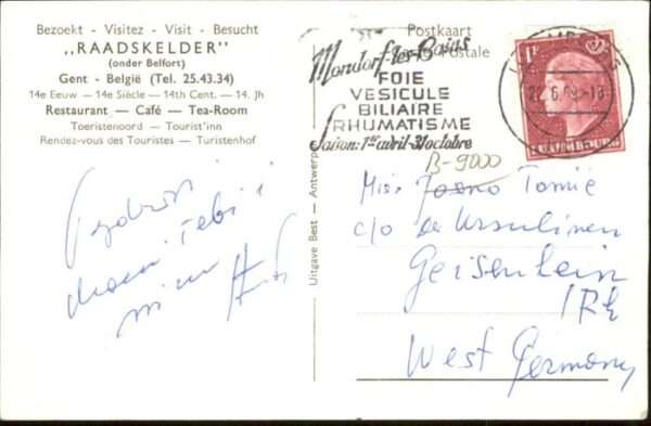 Gent Gand Flandre Gent Ratskeller – Bild 2