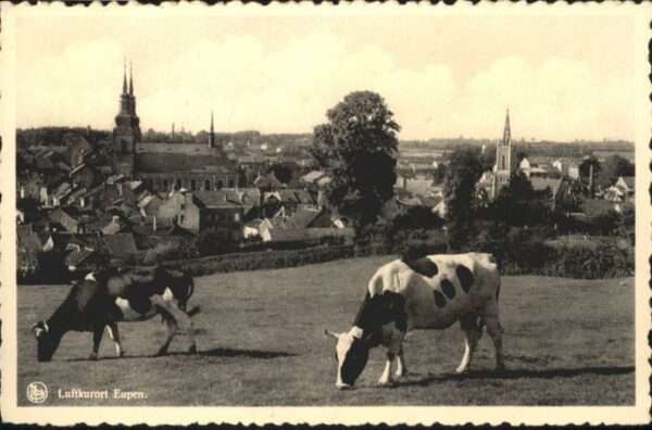 Eupen Kühe