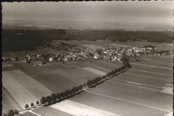 Woeringen liegeraufnahme