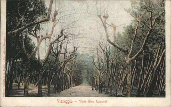 Viareggio Viale Gino Capponi
