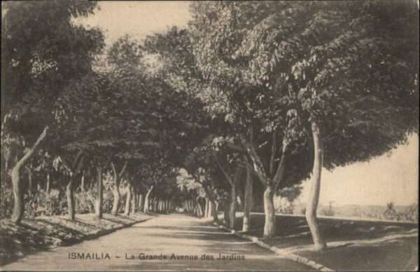 Ismailia Grande Avenue Jardins