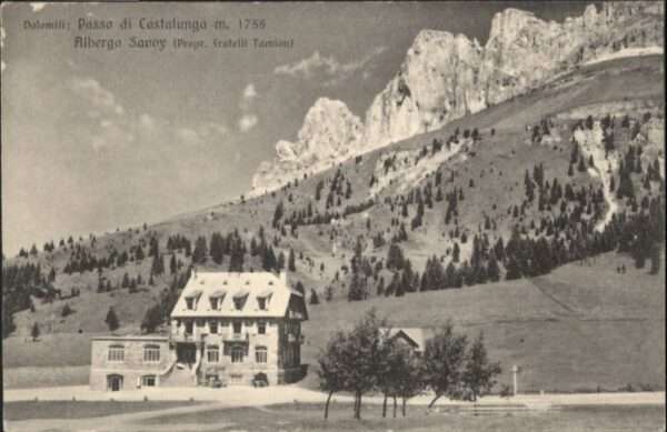 Passo di Costalunga Albergo Savoy