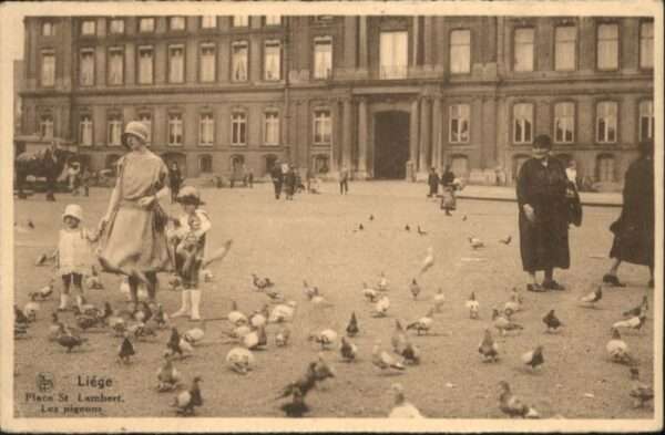 Liege Luettich Liege Place St. Lambert Taube