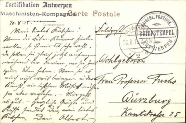 Malines Mechelen Flandre Malines Hotel de Ville – Bild 2