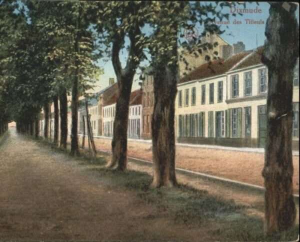 Dixmude Avenue Tilleuls